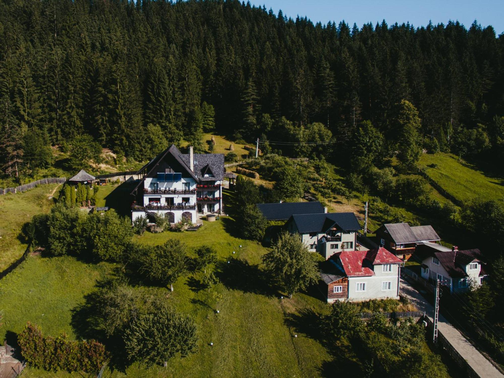 Bucovina Lodge Pension 瓦马 外观 照片