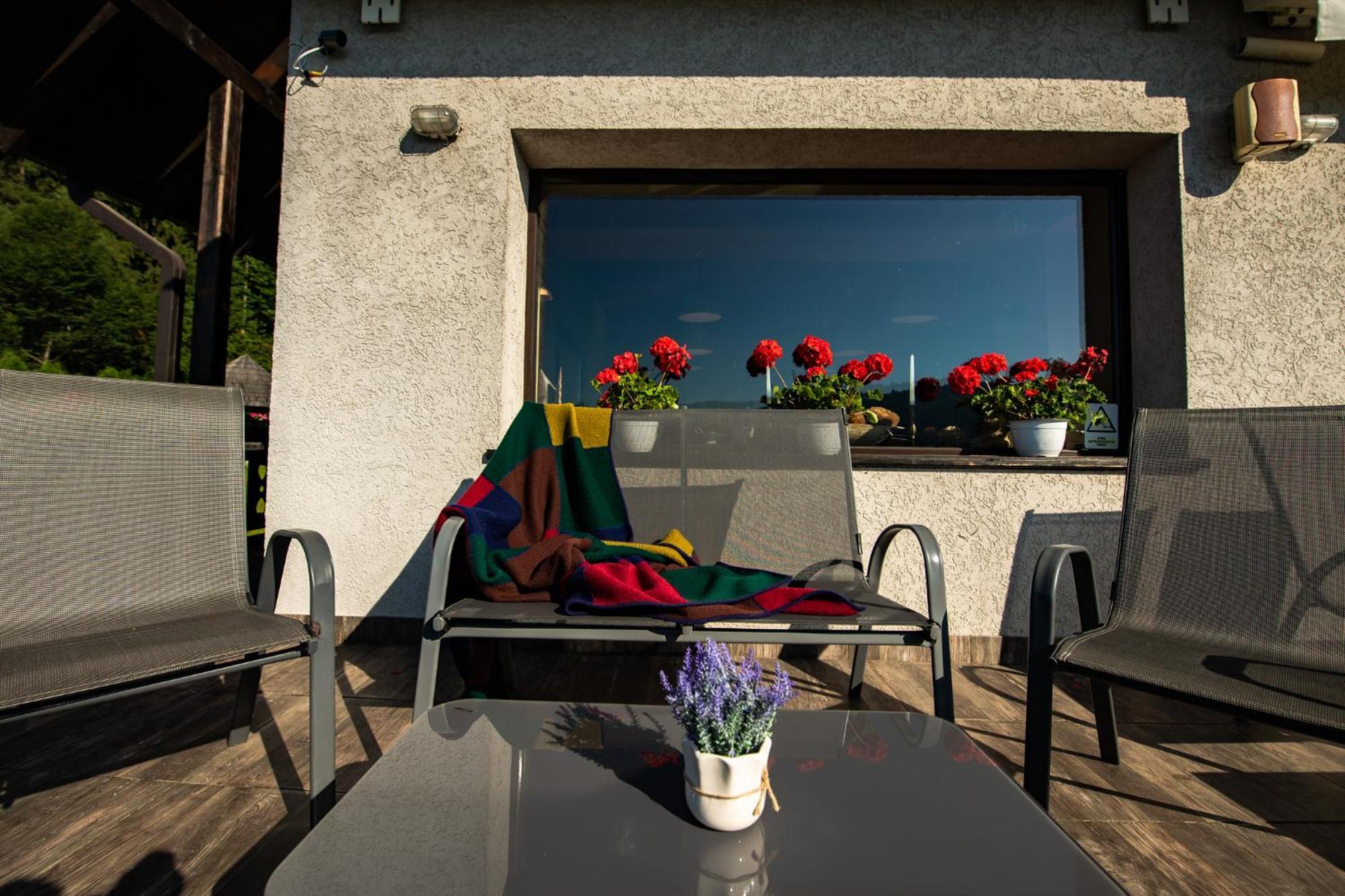 Bucovina Lodge Pension 瓦马 外观 照片