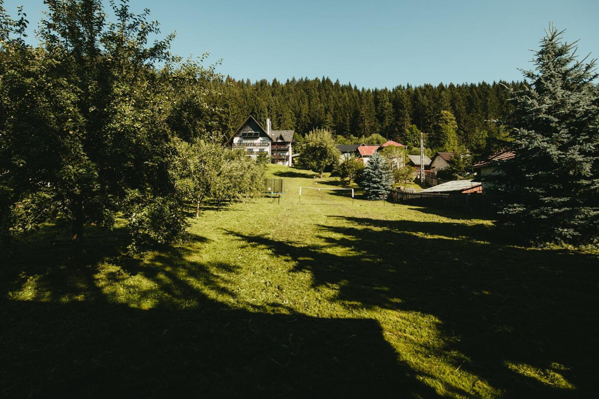 Bucovina Lodge Pension 瓦马 外观 照片