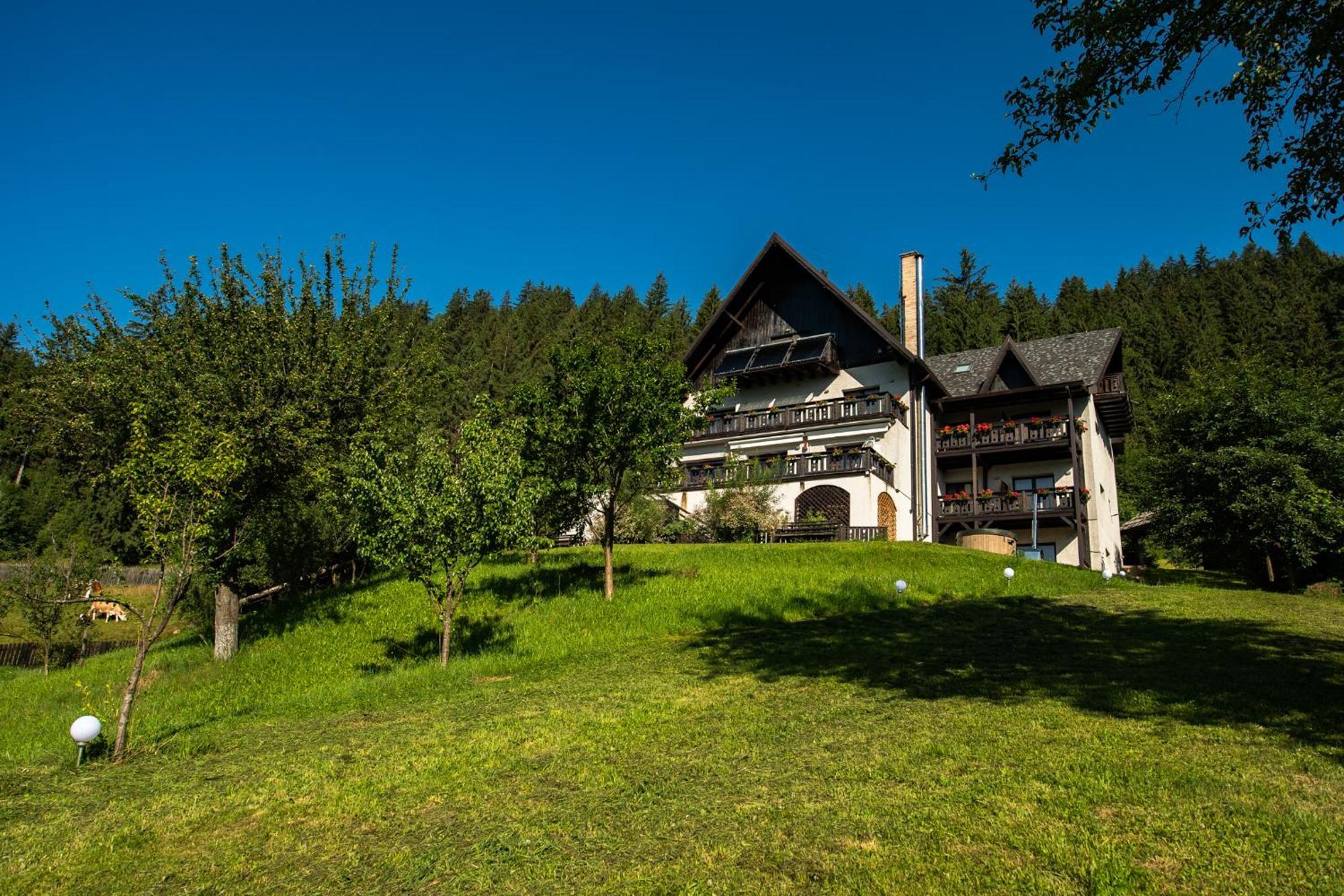 Bucovina Lodge Pension 瓦马 外观 照片