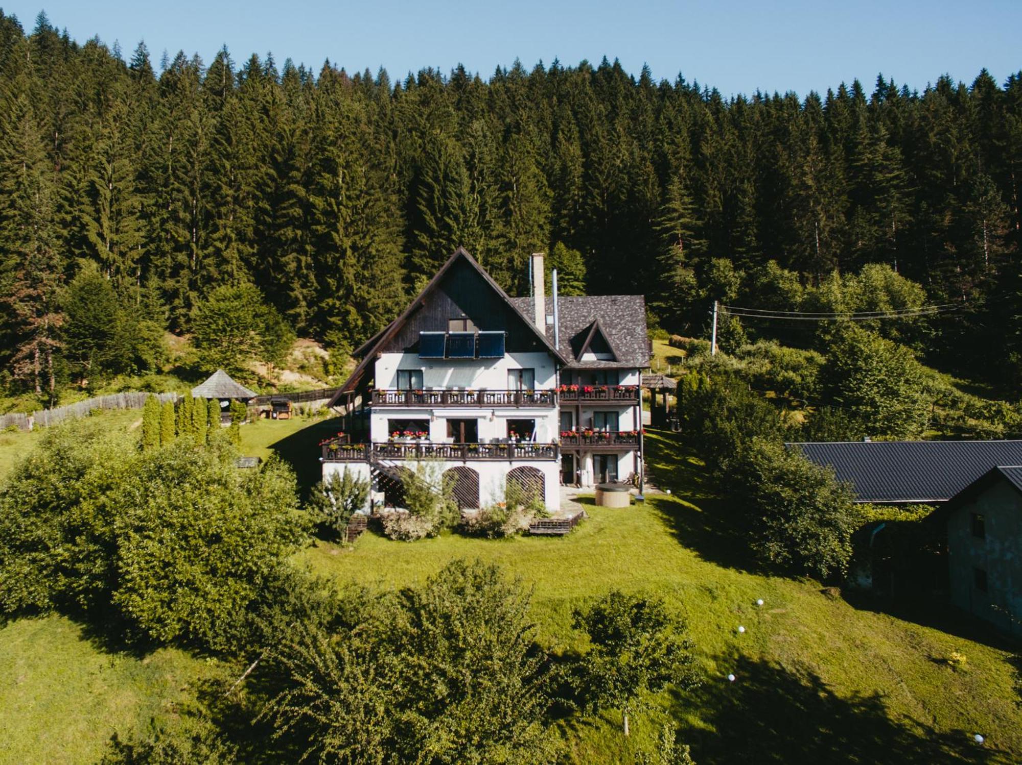 Bucovina Lodge Pension 瓦马 外观 照片
