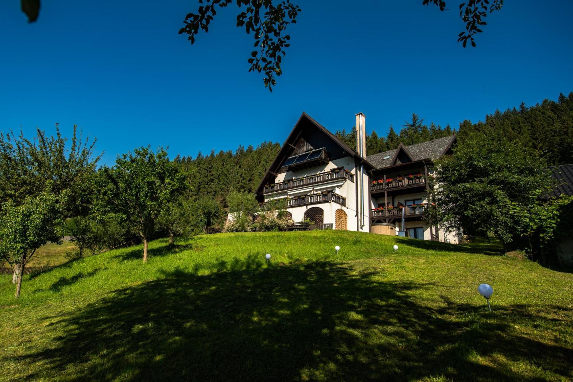 Bucovina Lodge Pension 瓦马 外观 照片
