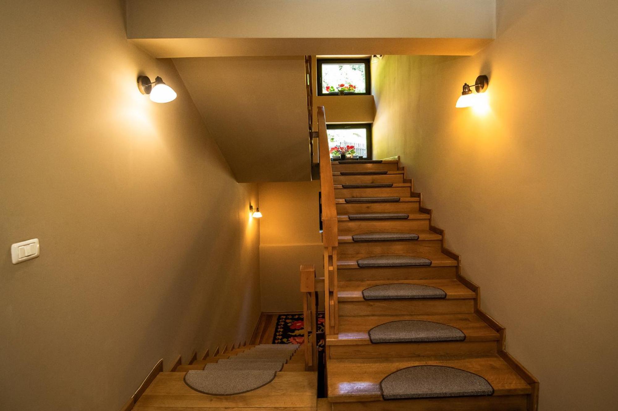 Bucovina Lodge Pension 瓦马 外观 照片